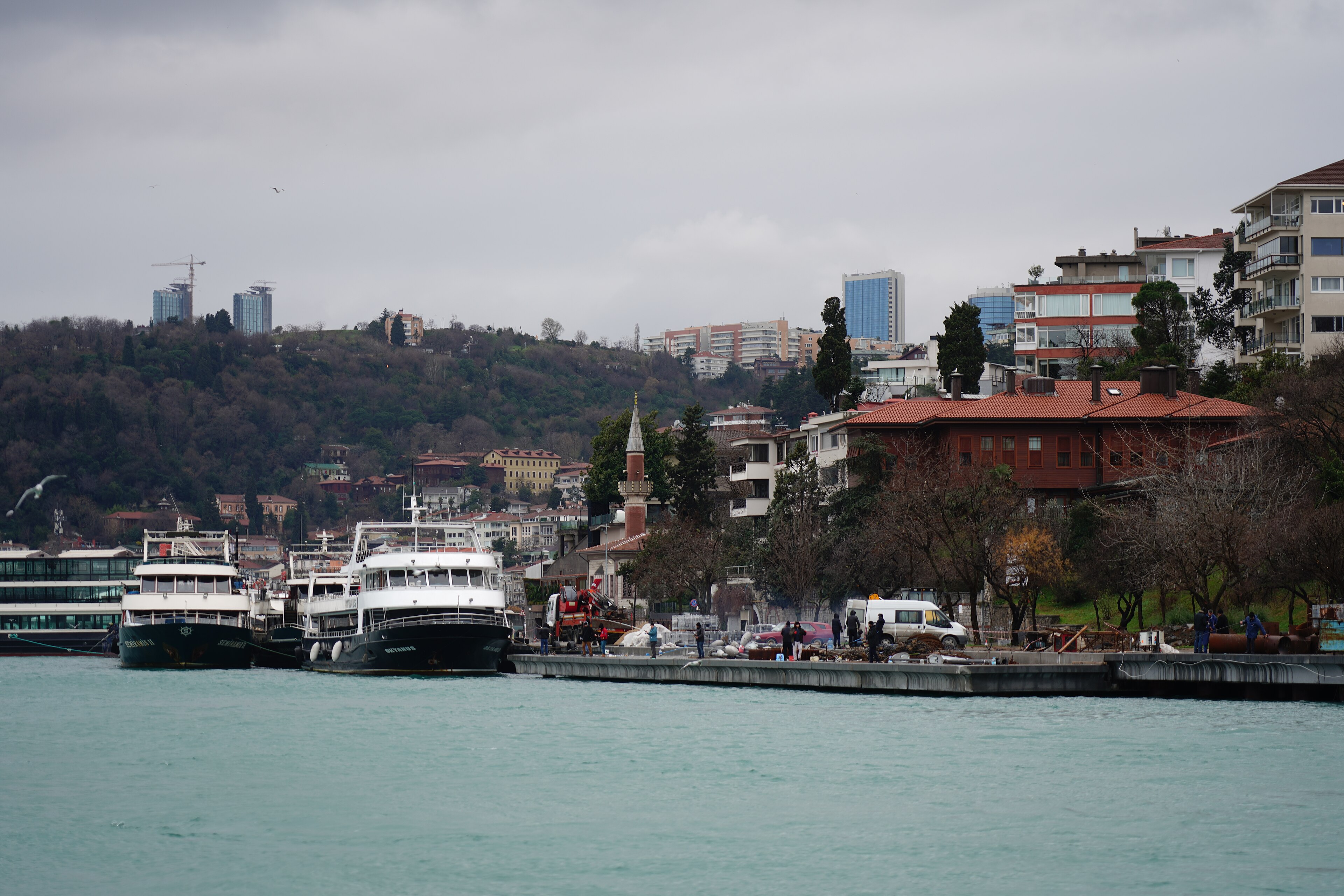 The Bosphorus waterfront between Beşiktaş and Bebek under a soft grey winter sky, with Bosphorus tour boats moored at a stone quay, the wooded hillside of the European shore rising behind, and a small minaret visible among red-roofed waterfront houses