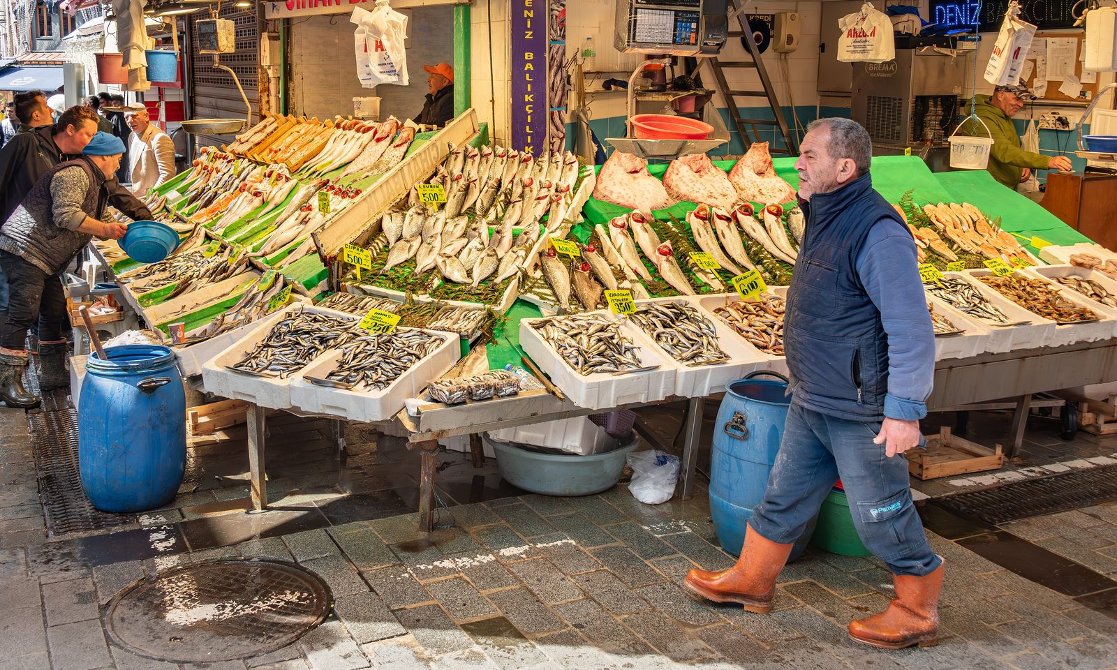 A Kadıköy Çarşı fishmonger's stall stacked with whole sea bass, sardines and other fresh fish on ice